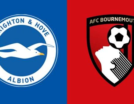 Soi kèo Brighton vs Bournemouth ngày 24/09/2023 